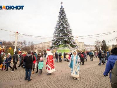 Бизнесмен хотел установить главную елку Воронежа за копейку, но проиграл торги предложению в 2 млн рублей
