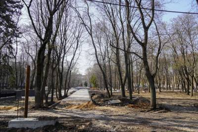 В Воронеже назвали дату открытия для прогулок парка «Орленок»