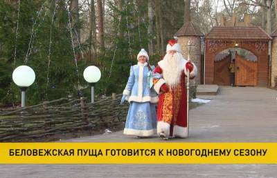 Новый год по-новому. Стало известно, как изменятся встречи с Дедом Морозом в Беловежской пуще