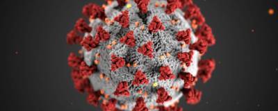Ученые нашли быстрый способ очистки поверхности от коронавируса