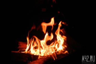 В Кемерове двух детей спасли из горящего дома