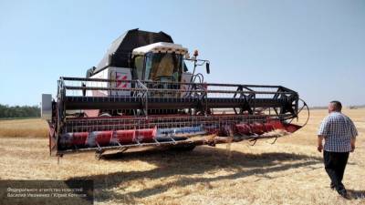 Прогнозы по урожаю российской пшеницы повысили в Минсельхозе США