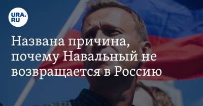 Названа причина, почему Навальный не возвращается в Россию