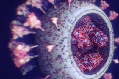 Ученые создали самую точную 3D-модель коронавирус