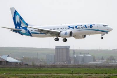 В Казахстане пассажирский самолет совершил экстренную посадку из-за столкновения со стаей птиц