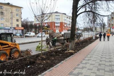 В Смоленске улицу Николаева прикрыли кленовыми листочками