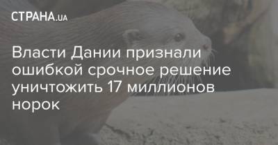 Власти Дании признали ошибкой срочное решение уничтожить 17 миллионов норок