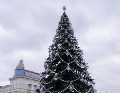 В Воронеже определились с подрядчиком, который установит новогоднюю елку на площади Ленина