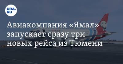 Авиакомпания «Ямал» запускает сразу три новых рейса из Тюмени