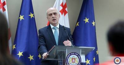 Глава МИД Грузии: Есть планы перевести сотрудничество с США на новый уровень