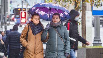 В Москве с начала ноября выпало 30% месячной нормы осадков