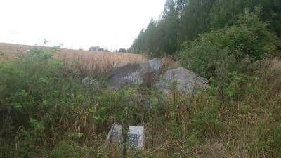 Большой Чижиновский камень. Какие тайны хранит 17-тонная легенда из Ледникового периода в Кореличском районе