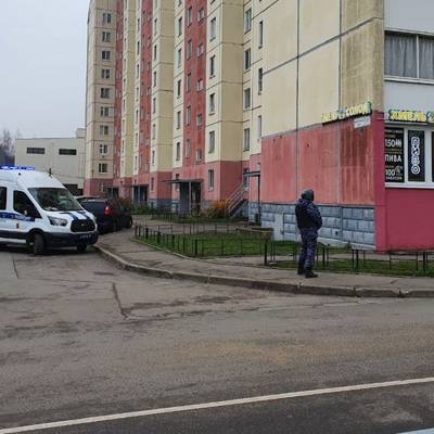 Вооруженный топором мужчина убил женщину в ТЦ во Всеволожске