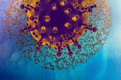 Ученым удалось создать самую точную 3D-модель коронавируса - Cursorinfo: главные новости Израиля