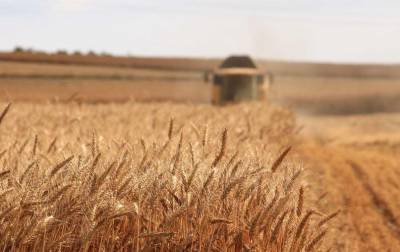 Не оправдал ожиданий. Минсельхоз США снизил прогнозы урожая в Украине