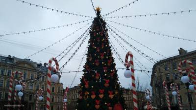 Петербург возглавил список самых дешевых туров на Новый год