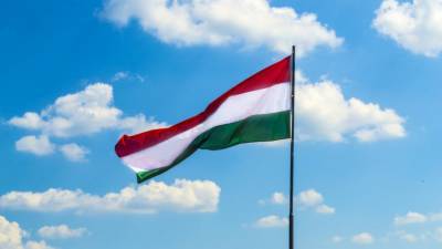 Венгерские власти планируют закрепить в Конституции мужской и женский пол
