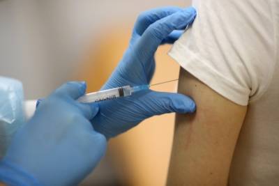 Массовая вакцинация россиян от коронавируса может начаться в январе-феврале - Гинцбург