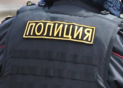 Полиция Москвы ищет участников банды, нападающих на детей и их матерей
