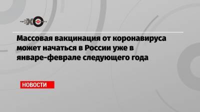 Массовая вакцинация от коронавируса может начаться в России уже в январе-феврале следующего года