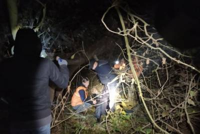 Полицейские Кабардино-Балкарии нашли пропавшего мужчину в лесу