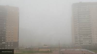 В Петербурге 12 ноября ожидается густой туман