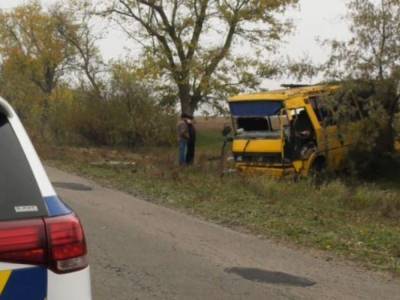 Резонансное ДТП на Херсонщине: горе-водителя маршрутки взяли под стражу