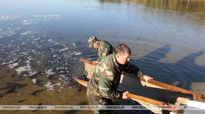 Более 8 т щуки, карпа и амура - три озера в Витебской области зарыбят в этом году