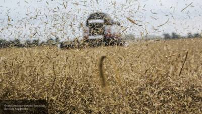 Мировые цены на российскую пшеницу начали снижаться