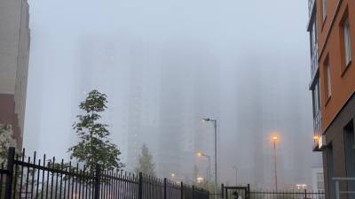Петербург в четверг накроет густой туман
