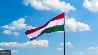 Правительство Венгрии предложило закрепить в Конституции определение пола