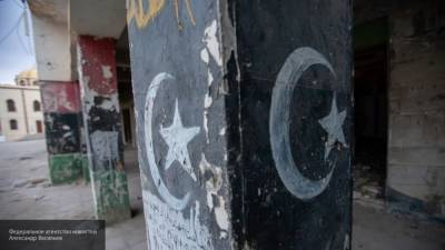 Долгов: Турция продолжает продвигать свои интересы в Ливии