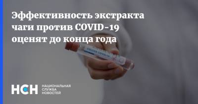 Эффективность экстракта чаги против COVID-19 оценят до конца года