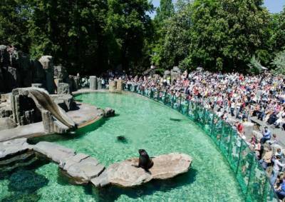 Пражский зоопарк признан одним из лучших в мире