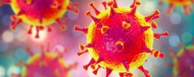 Найден скрытый ген коронавируса, отвечающий за заражающий потенциал