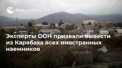 Эксперты ООН призвали вывести из Карабаха всех иностранных наемников