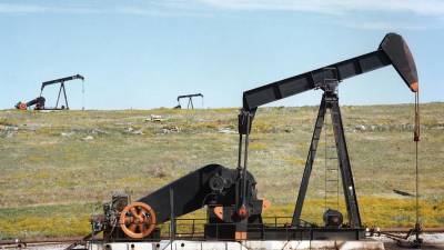 В ОПЕК+ обсуждают отсрочку смягчения ограничений на добычу нефти