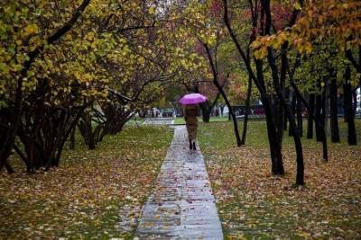 Ноябрь в Новосибирской области назвали самым теплым за 14 лет