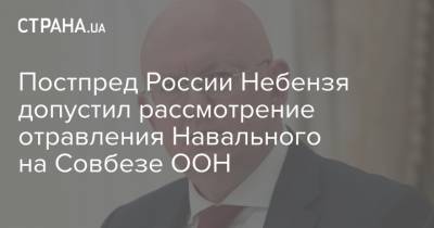 Постпред России Небензя допустил рассмотрение отравления Навального на Совбезе ООН