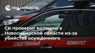 СК проверит колонию в Новосибирской области из-за убийства осужденного