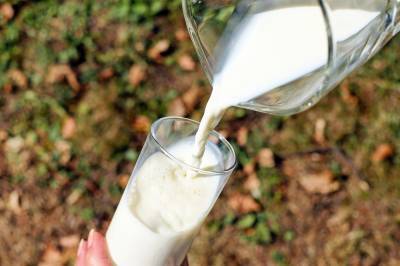 За 10 месяцев 2020 года в Рязанской области получено 432 000 тонн молока