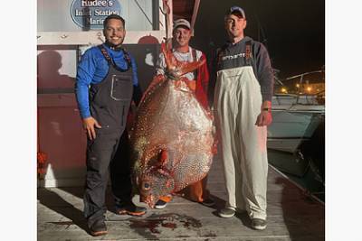 Рыбаки поймали огромную опаху весом 65 килограммов