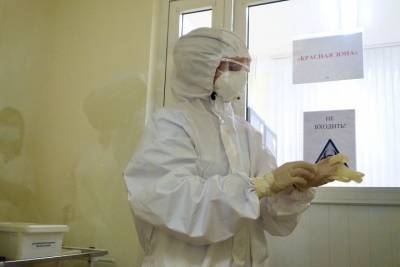 Семь новосибирцев умерли от коронавируса за сутки