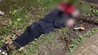 В Мурино под окнами многоэтажки нашли мертвую женщину