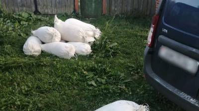 Работница сельхозпредприятия Гомельского района похитила более тонны комбикорма