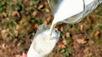 Valio перейдет на упаковку из растительного сырья для своего молока на рынке РФ