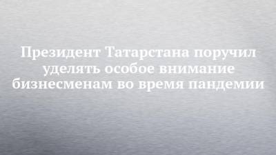Президент Татарстана поручил уделять особое внимание бизнесменам во время пандемии