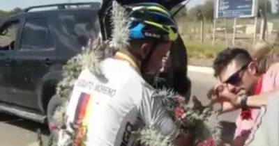 В Сети появилось эпичное видео, как велосипедист влетел в кактусы, его спасали прохожие