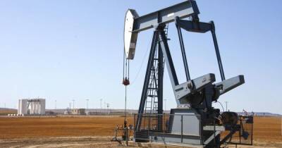 В разгар пандемии цены на нефть продолжают свой рост