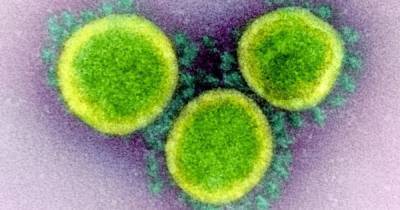 "Геномный обман". Ученые обнаружили скрытый ген в коронавирусе SARS-CoV-2